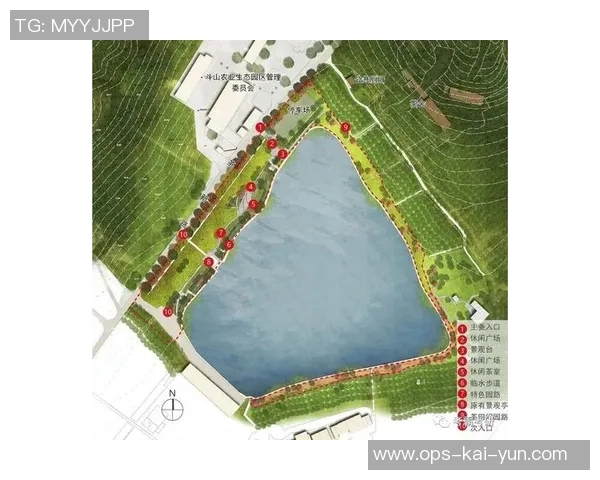 复旦大学足球场周边景观与文化活动探秘之旅 复旦大学足球场周边景观与文化活动探秘之旅